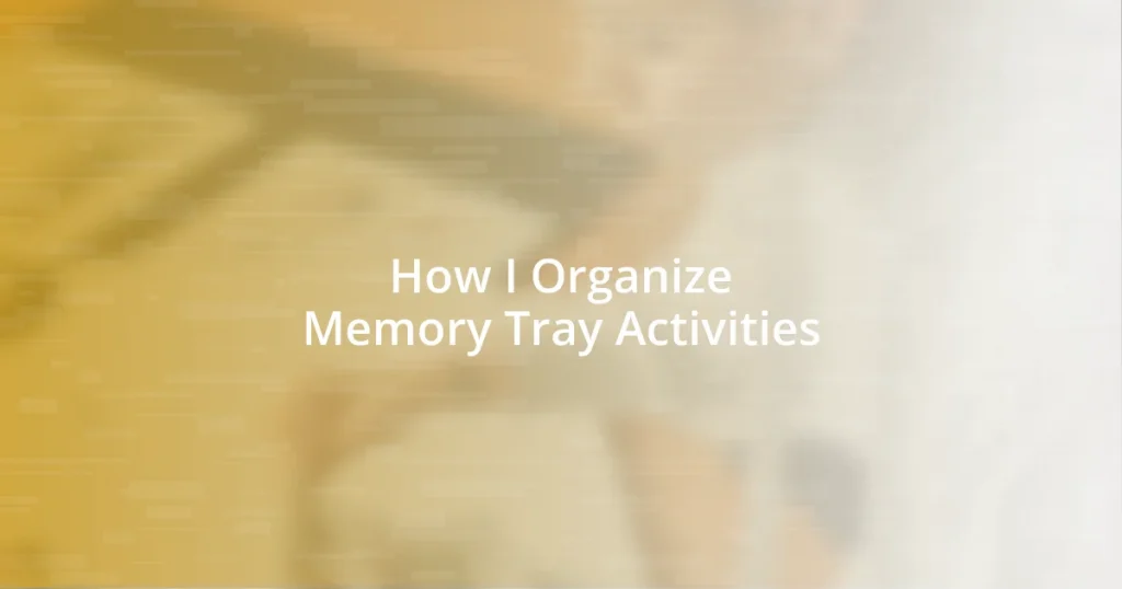 How I Organize Memory Tray Activities